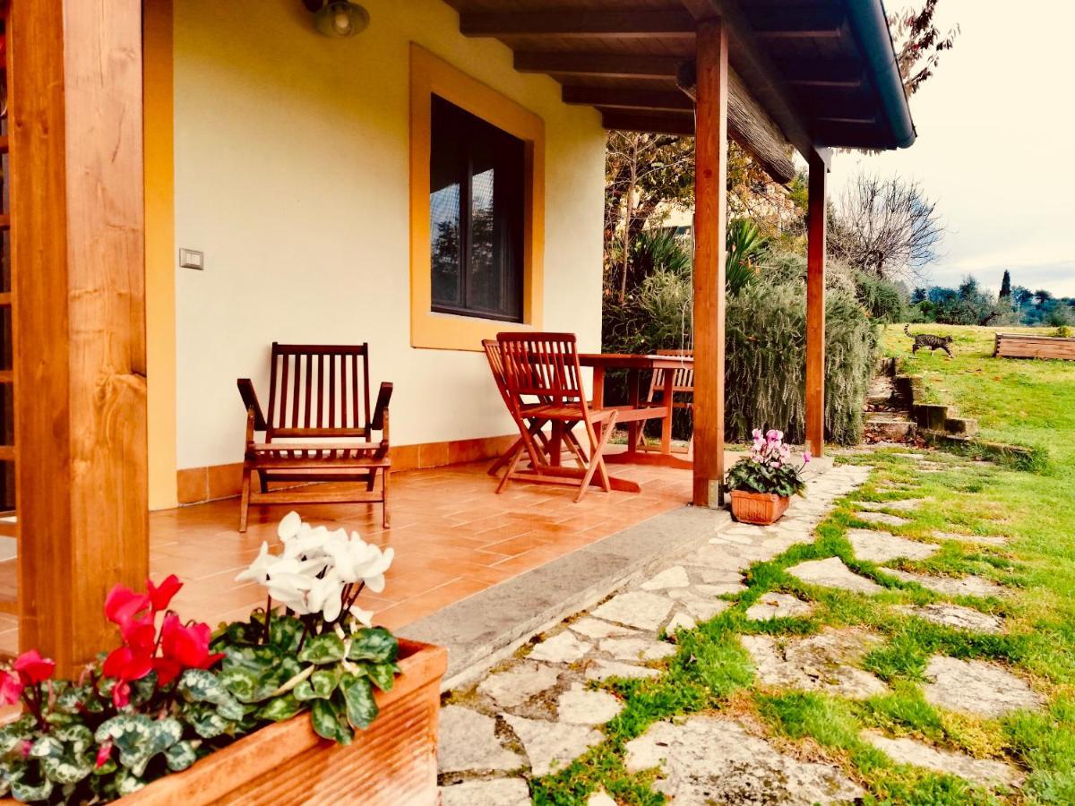 La Casa Nettarina Guest House Poggio Mirteto Exterior photo